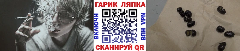 ГАШ гашик Рославль