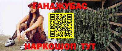 спиды Камышлов