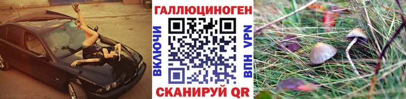 Псилоцибиновые грибы прущие грибы  Рославль 
