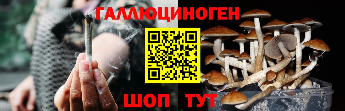 Канабис  Рославль  ЛЁД  МЕФ  Вход с VPN  Альфа-ПВП  Мяу-Мяу  Конопля  COCAIN 